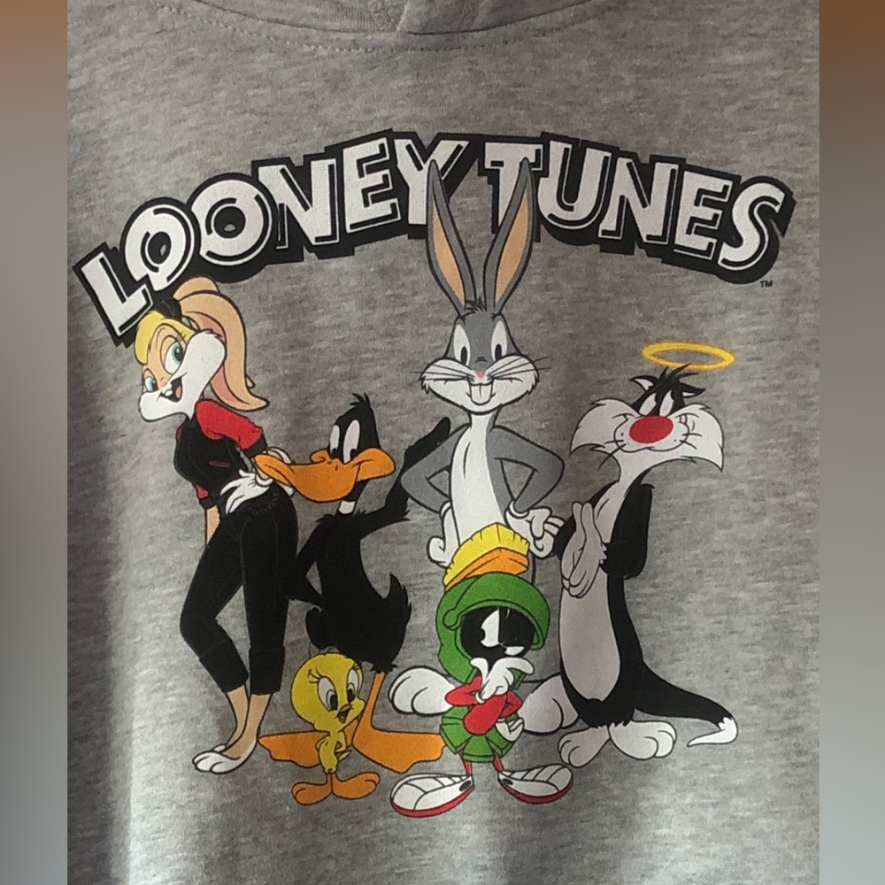 NEW Looney Toons characters light grey mens unisex hoodie hoody sweatshirt L